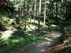Trail park Klnovec