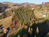 DJI_20241117151435_0003_D - frame at 0m38s~2.jpg