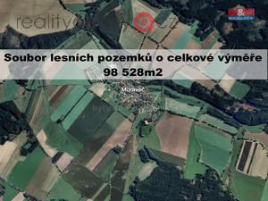 foto Prodej lesa, 98528 m2, Morave