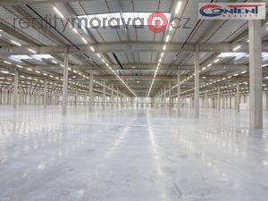 foto Pronjem novostavby skladu, vrobnch prostor 29.000 m2, Ostrava