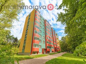 foto Pronjem bytu 2+1 [56 m2] s balknem, ulice Lesn, Orlov - Lutyn