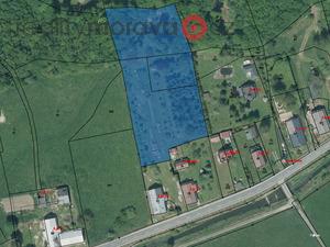 foto Prodej podlu 4/6 ttp, orn pdy a lesnho pozemku 4273 m2 v obci Jindichov, okres Bruntl