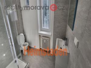 foto Pronjem byty 1+kk, 29 m2 - Havov - Prostedn Such