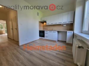 foto Pronjem byty 2+1, 55 m2 - Havov - Msto