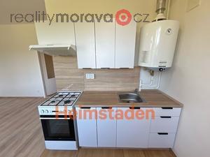 foto Pronjem byty 1+1, 27 m2 - Havov - Prostedn Such