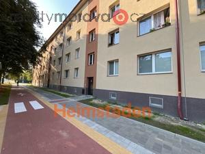 foto Pronjem byty 3+1, 61 m2 - Havov - Msto